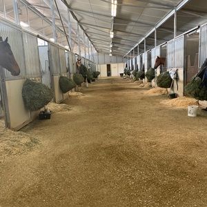 Meet your Posher, Jordan